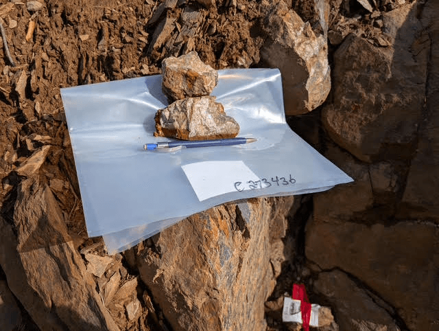 Sample C273436, quartz vein in chloritic host rock